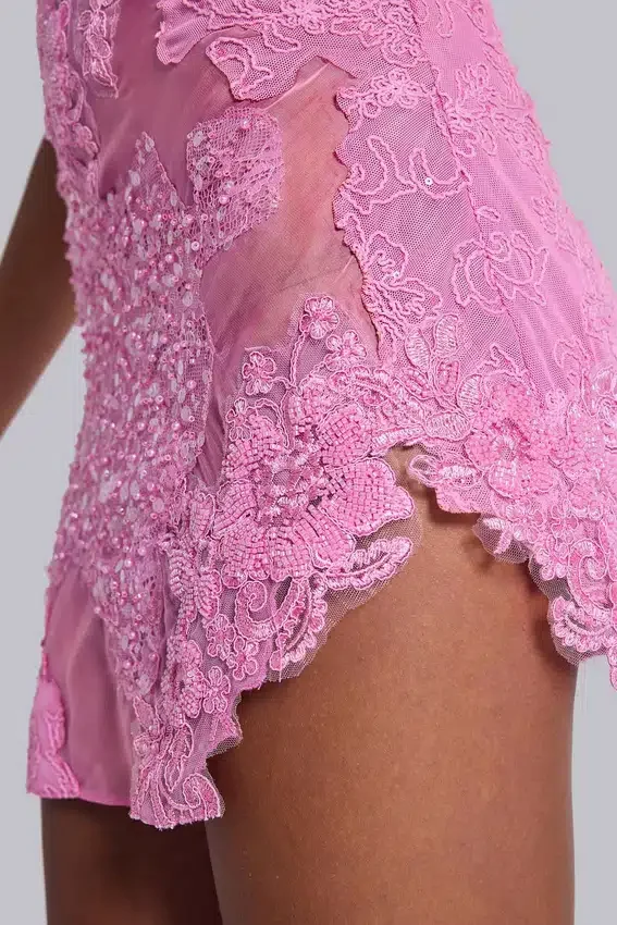 Mini-robe en dentelle appliquée Shadea, rose